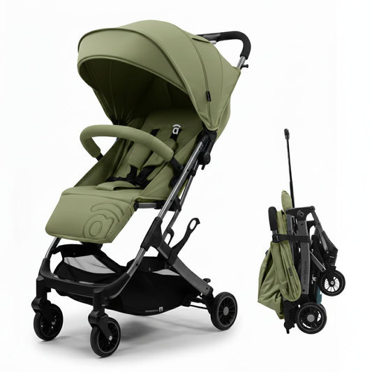 Asalvo Flug Buggy AMSTERDAM in Grün